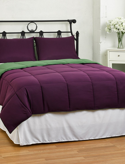 Lightweight Reversible Down Alternative Summer Comforter Set by ExceptionalSheets
